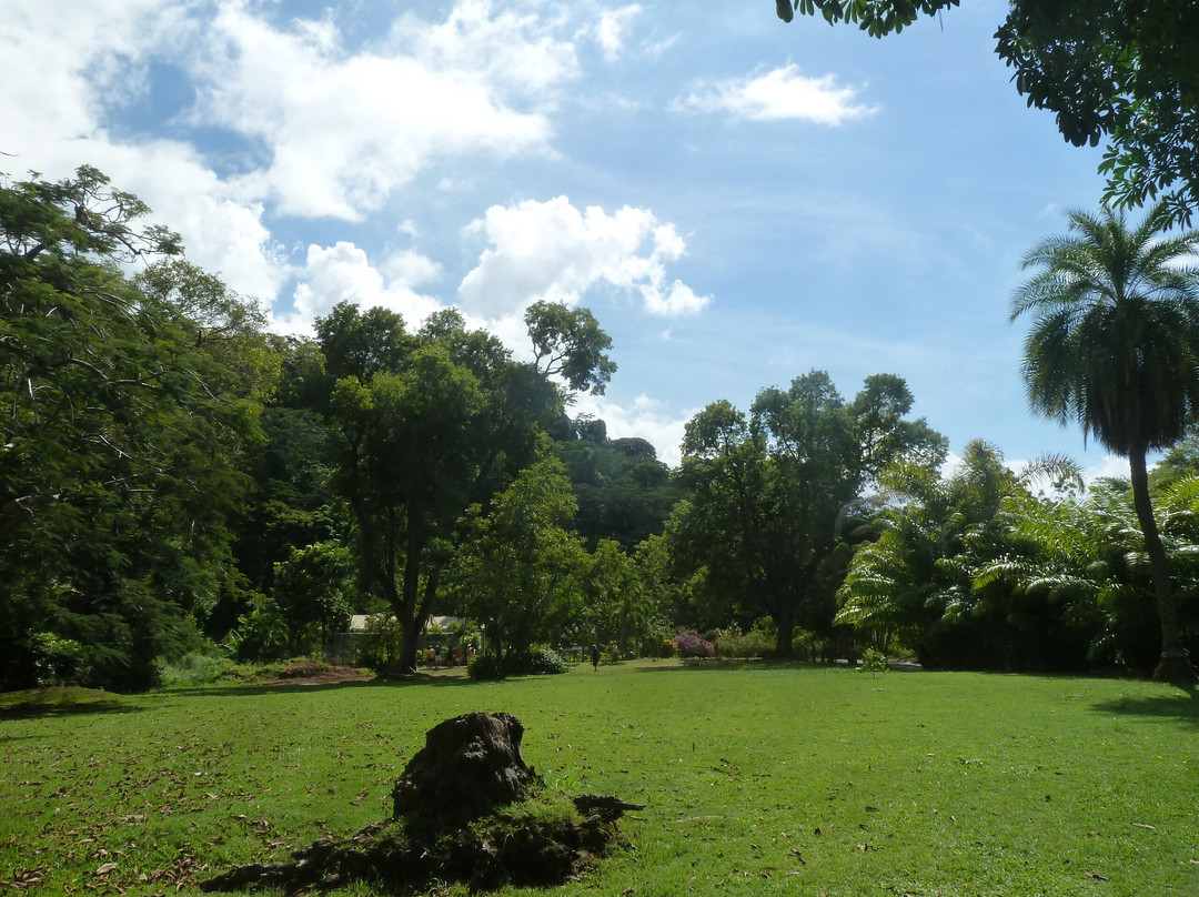 Dominica Botanic Gardens-罗索必去景点