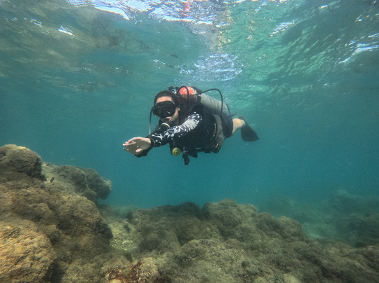 Recife Dive Mergulho-嘎林海斯港必去景点
