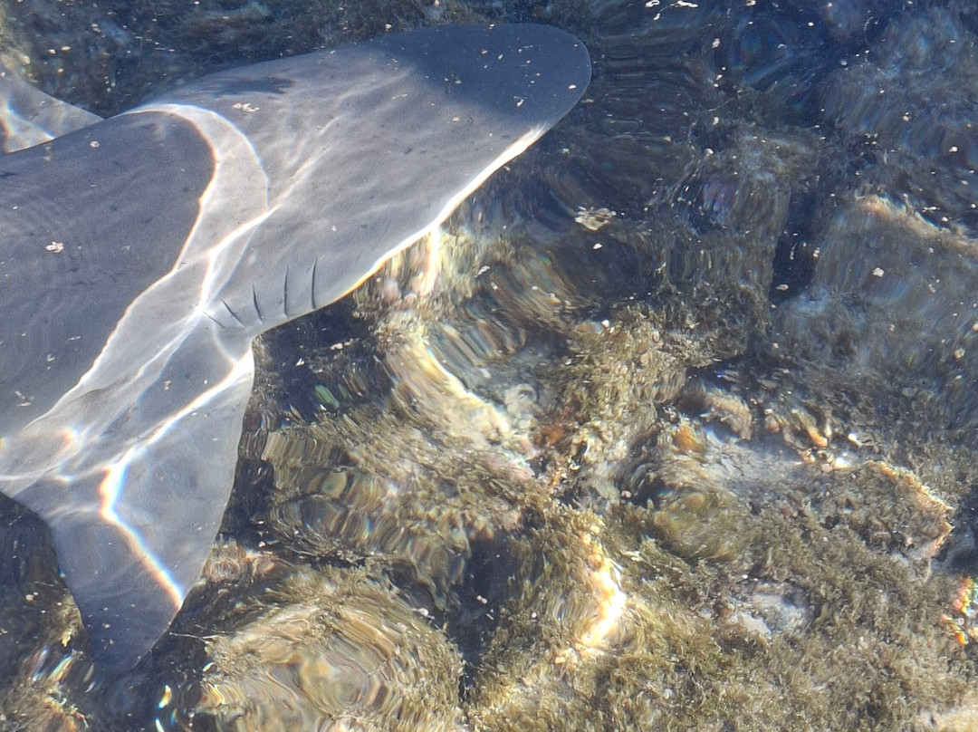 Explore Cape Verde-圣塔玛丽亚必去景点