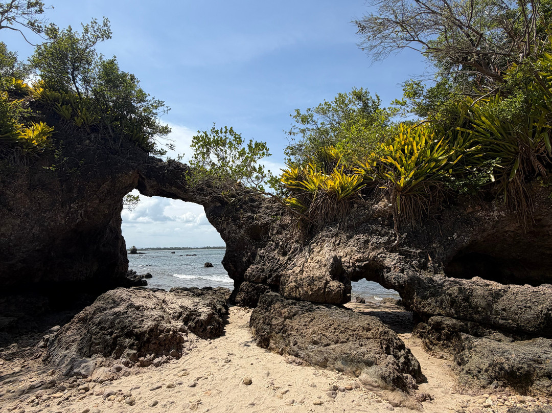 Lanchas Maria Hellena-Camamu必去景点