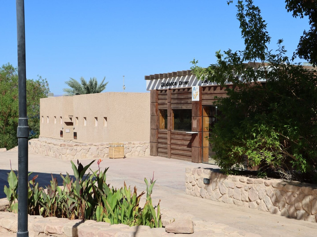 Aqaba Marine Park-亚喀巴必去景点