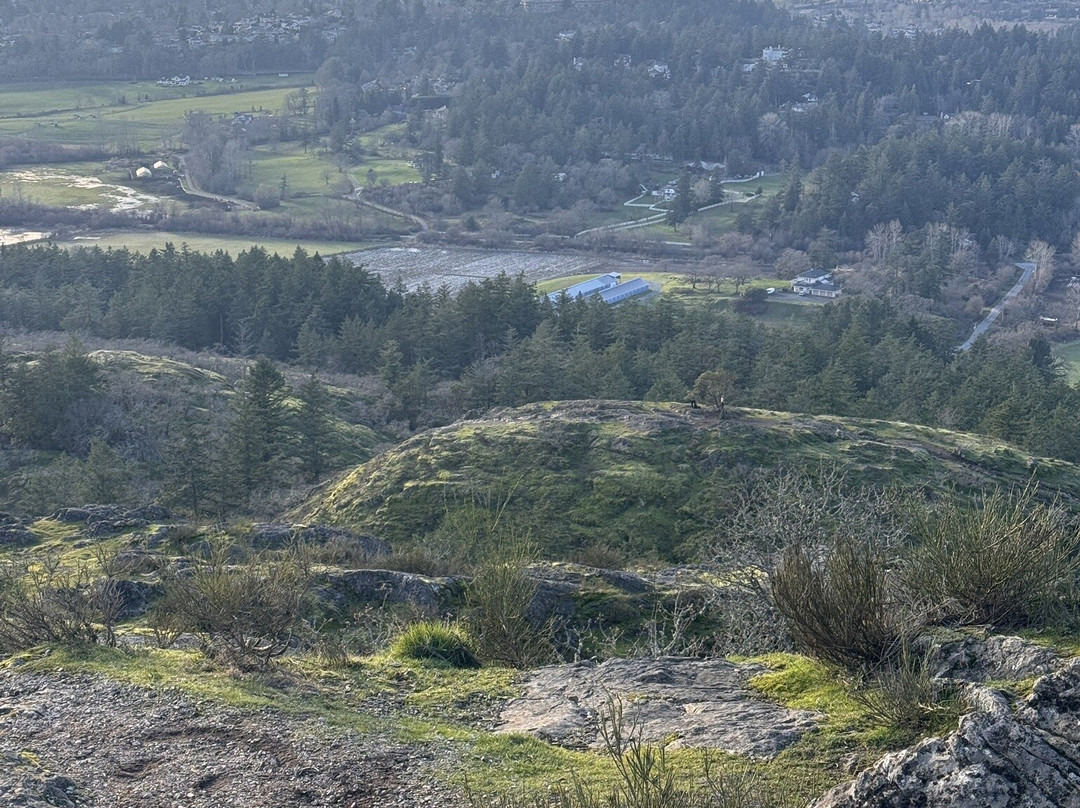 PKOLS Park-Saanich必去景点