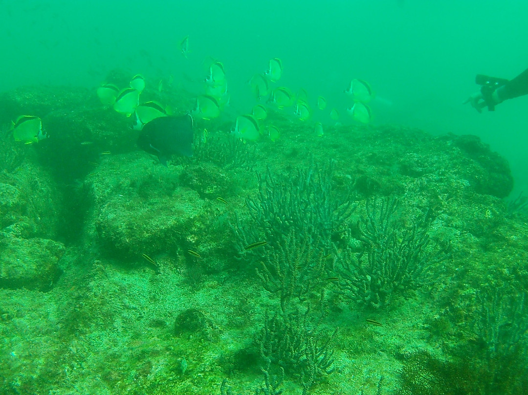 Blue Nation-洛雷托必去景点