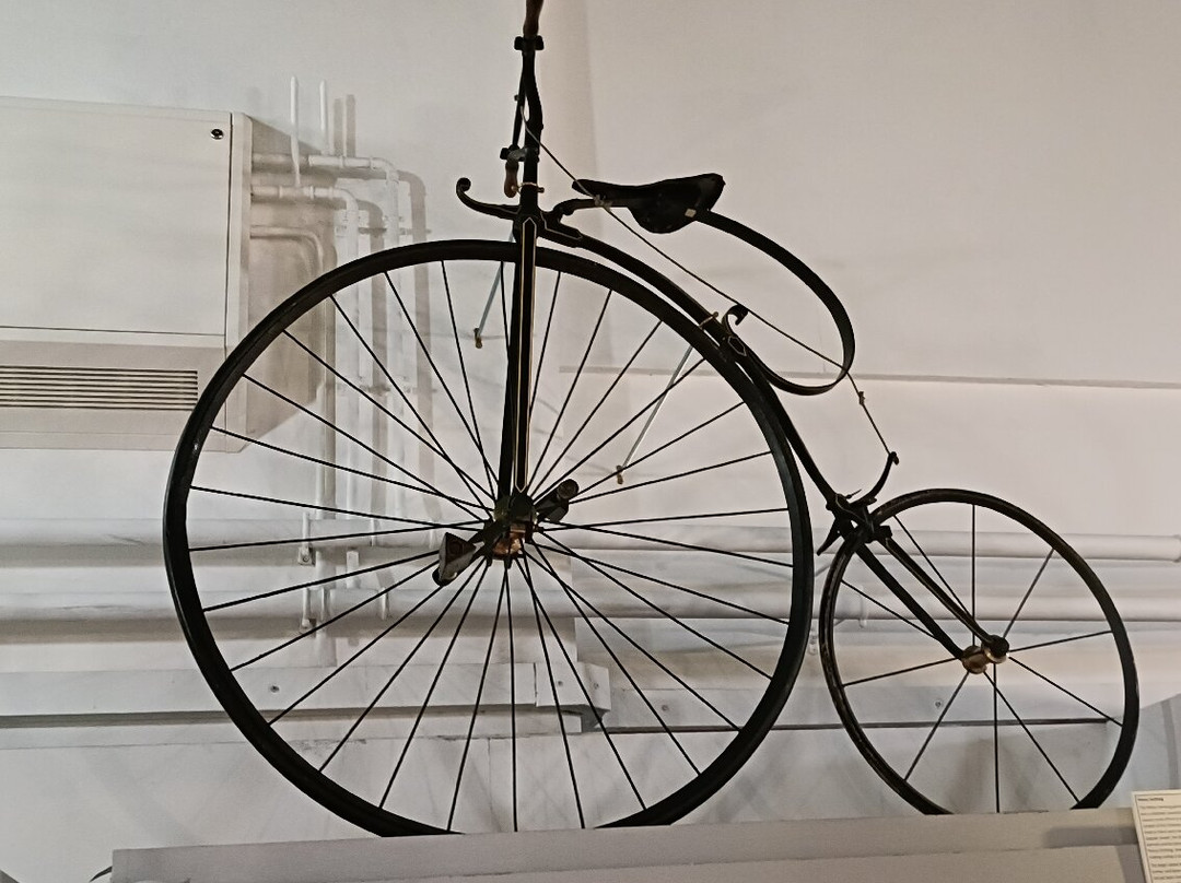 Braintree District Museum-布伦特里必去景点