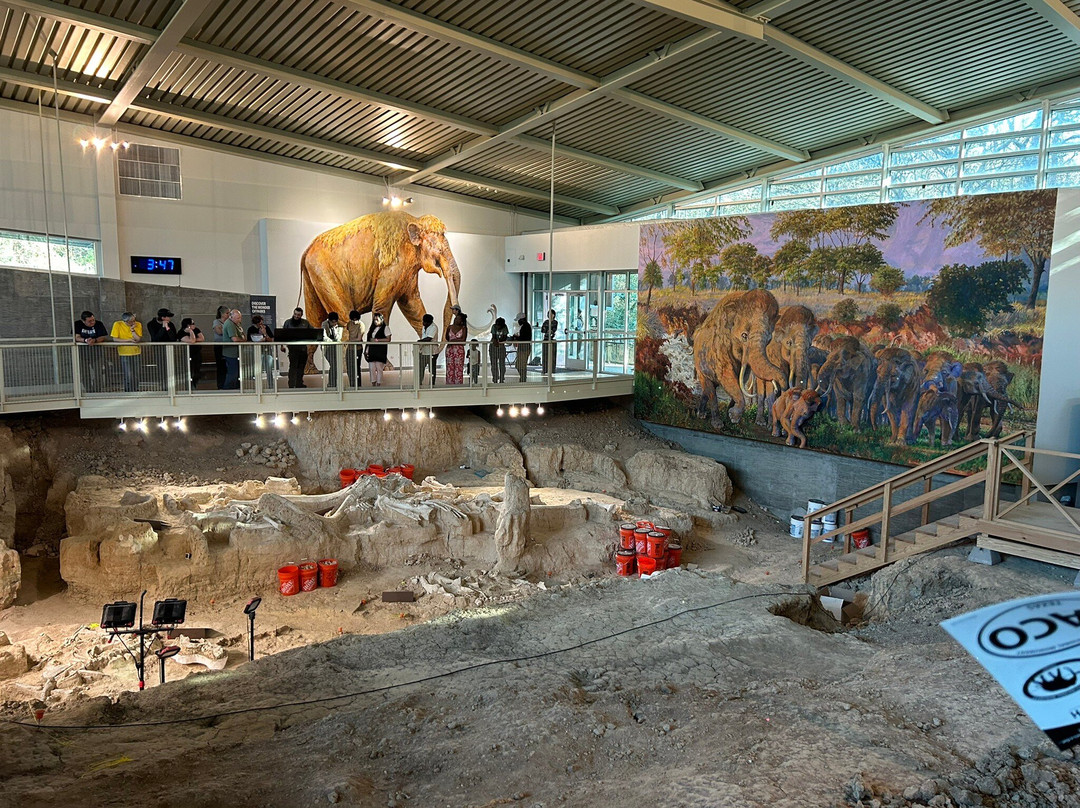 Waco Mammoth National Monument-韦科必去景点