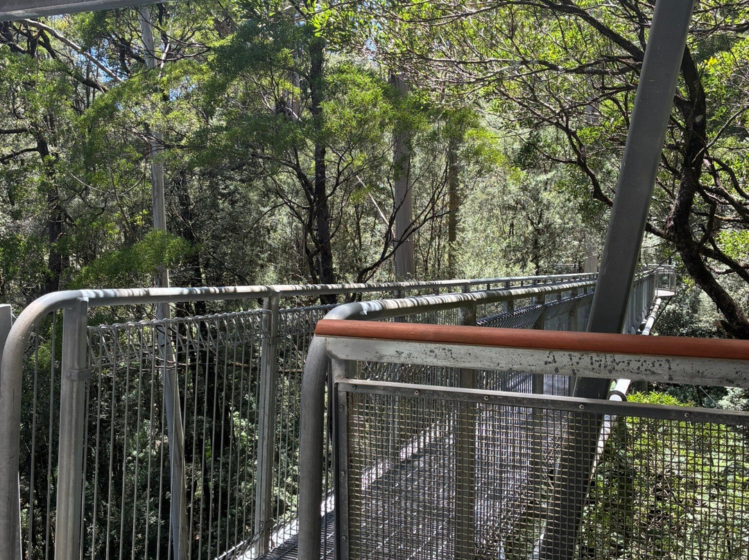 奥特威树顶探险之旅-Weeaproinah必去景点