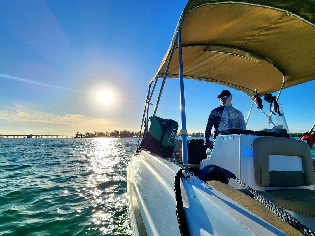 Sweet Sunsets & Dolphin Tours-安娜玛丽亚岛必去景点