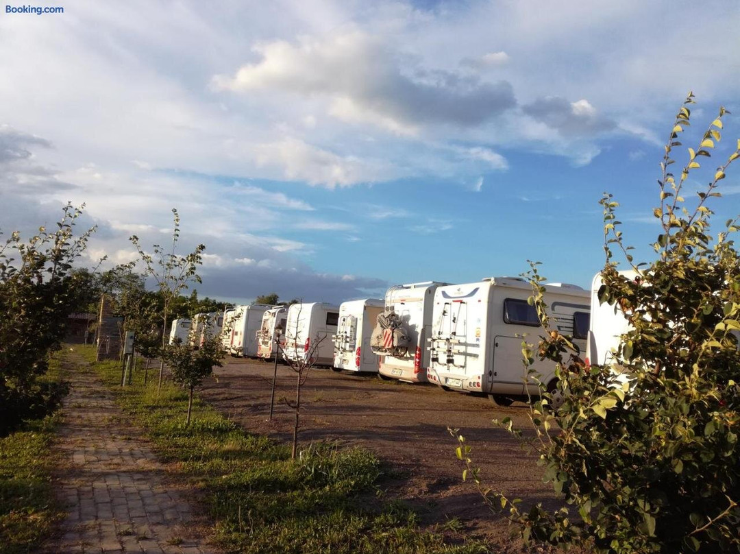 Farm 47 Salas Miris Dunja Camping
