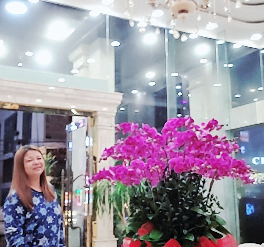 The Sail Hotel主图