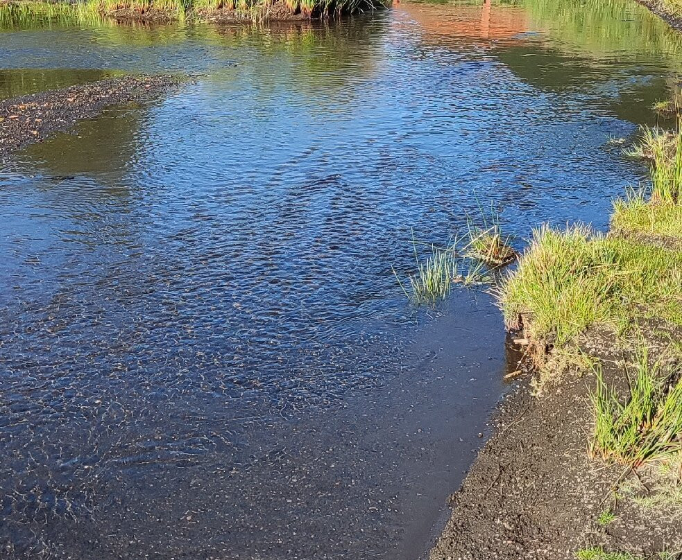 Laguna Llancalil-普孔必去景点
