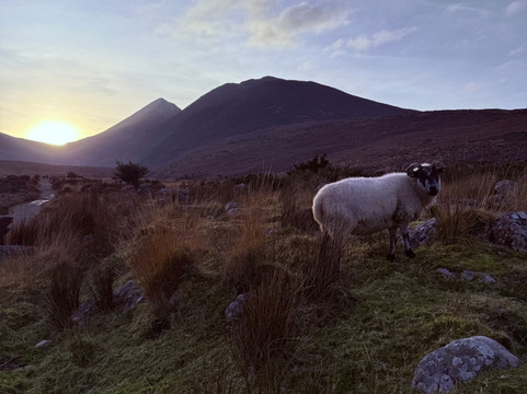 Morrison Tours-Killorglin必去景点