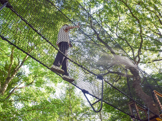 Les Jardins De Brocéliande-Breal-sous-Montfort必去景点