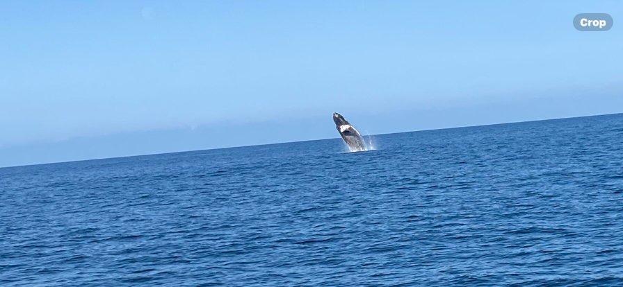 Casa De Los Amigos-官方