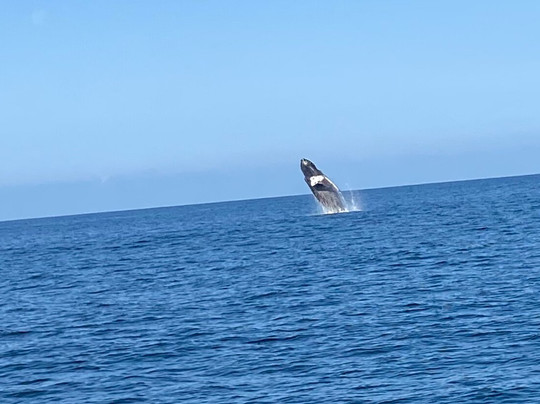 Casa De Los Amigos主图