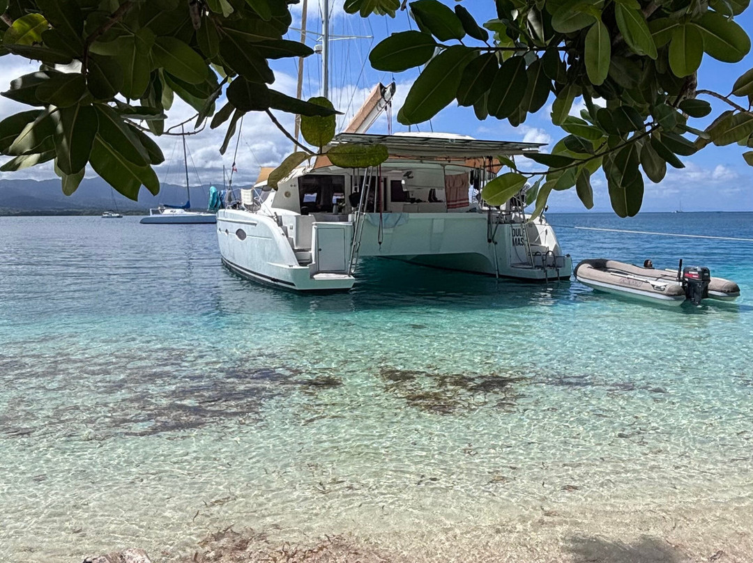 Catamaran Adventures San Blas-埃尔波韦尼尔必去景点