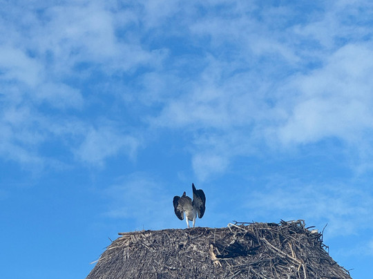 My Holbox Tours-Holbox必去景点