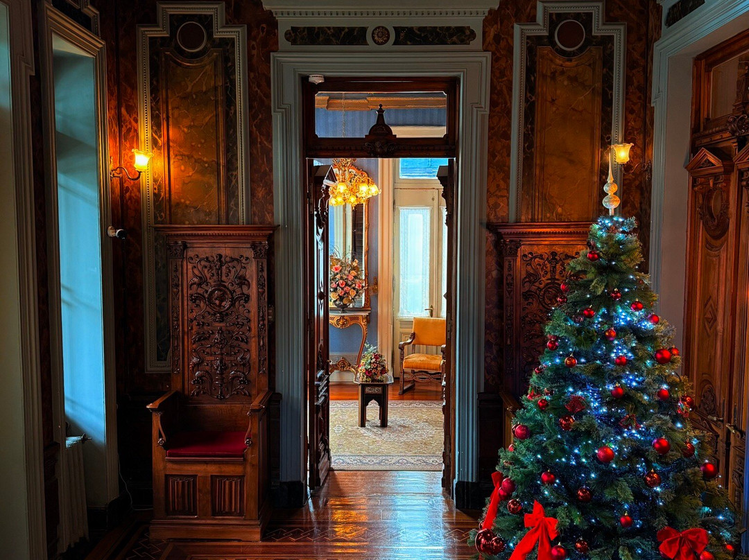 Palacio Sara Braun-蓬塔阿雷纳斯必去景点