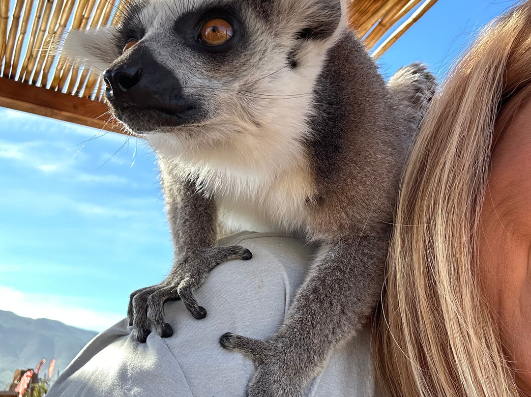 Pai Pai Ecotourism Park-恩塞纳达必去景点