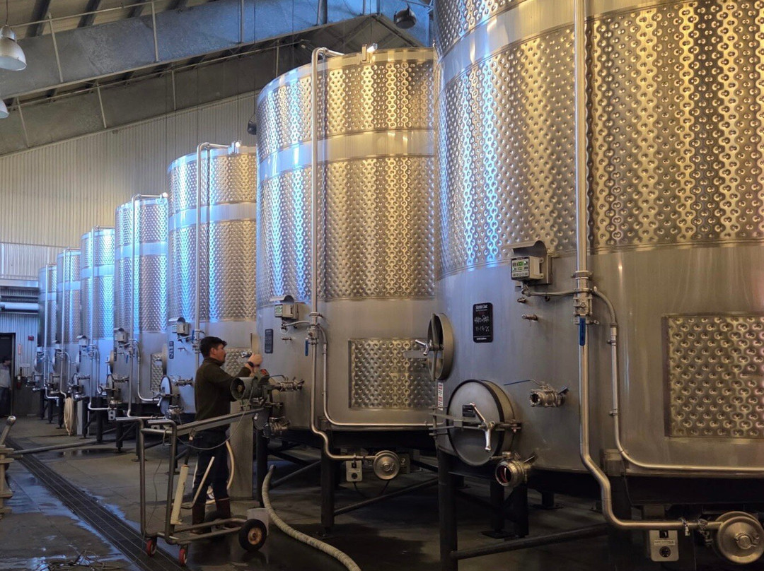 Silver Oak Cellars-奥克维尔必去景点