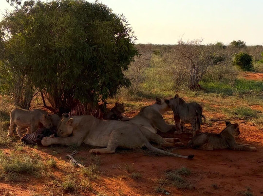 Viaggi in Kenya con Silvio - Safari e Tour Personalizzati-瓦塔木必去景点