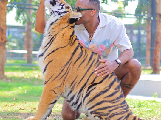 Tiger World Thailand-丹能沙都必去景点