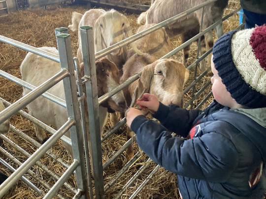 Newton Farm Holidays & Tours主图