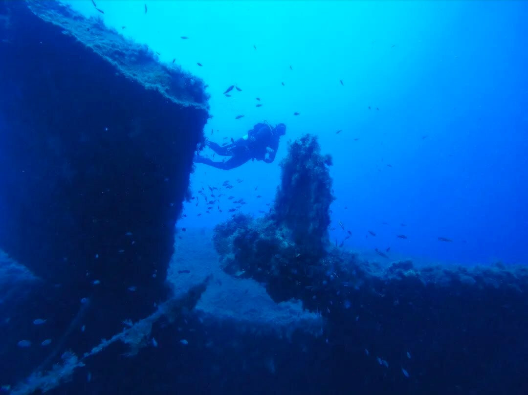 Gorgonia Diving-Acherounes必去景点