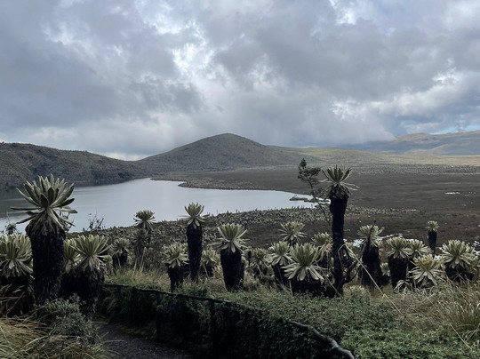 Reserva Ecologica El Ángel-El Angel必去景点