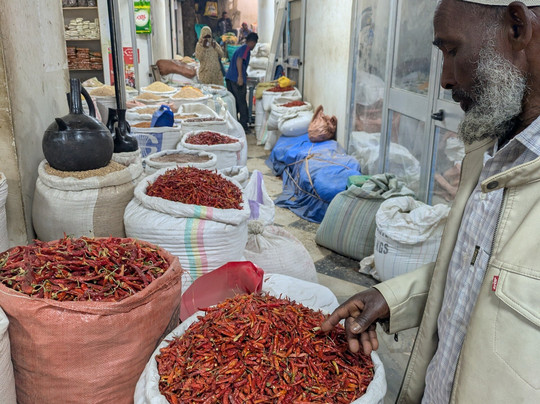 Edom Harar Tours & Car Rentals-哈勒尔必去景点