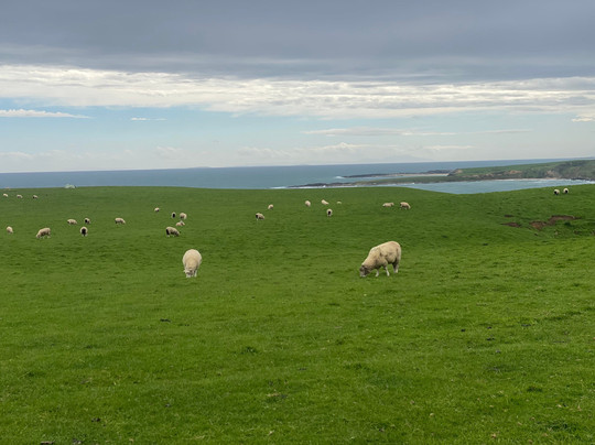 Slope Point-怀卡瓦必去景点