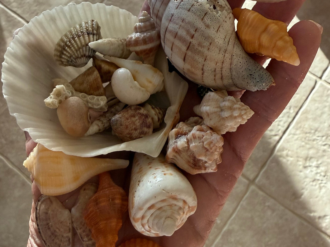 Reel Kind Fishing and Tours-Goodland必去景点