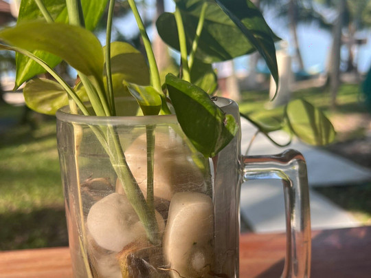 New Body and Mind Retreat主图