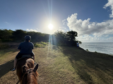 Esperanza Riding Company-维切克岛必去景点
