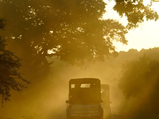 Mahaweli Tours & Holidays-尼甘布必去景点