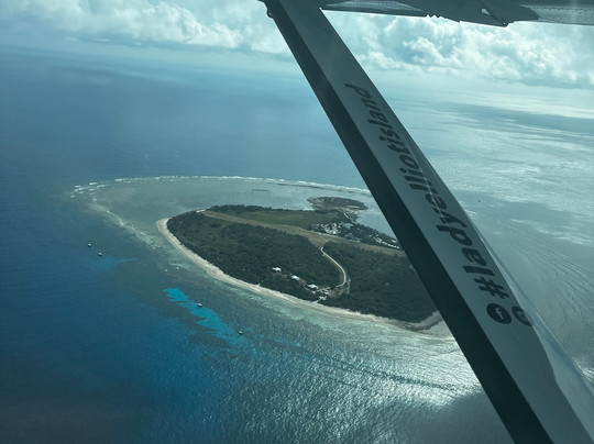 Lady Elliot Island Day Tour-埃里奥特夫人岛必去景点