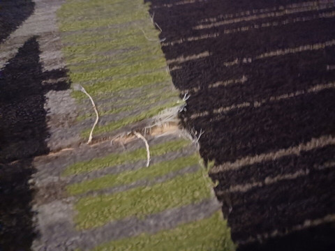 Holiday Inn Express & Suites Conroe I-45 North By IHG主图