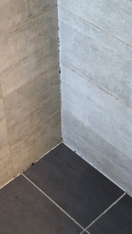 巴特曼斯湾-林肯唐斯度假村-浴室