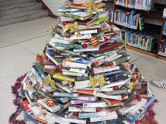 Schoelcher Library-法兰西堡必去景点