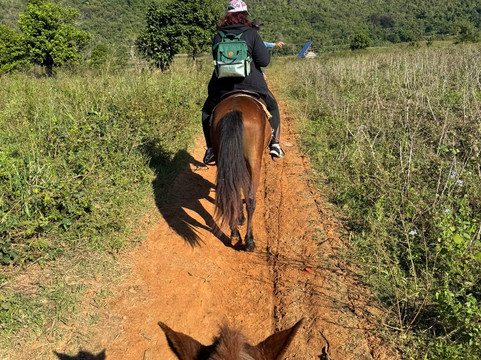JMC Vinales Aventura-维纳勒斯必去景点