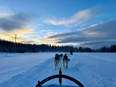 Happy Huskies-伊瓦洛必去景点