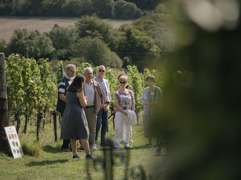 Hambledon Wine Estate-Hambledon必去景点