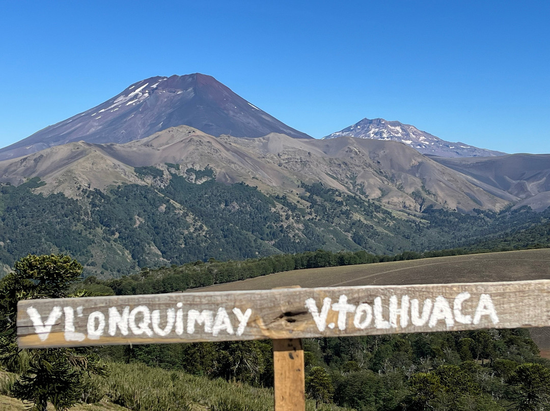 Reserva Nacional Malalcahuello - Nalcas-Malalcahuello必去景点