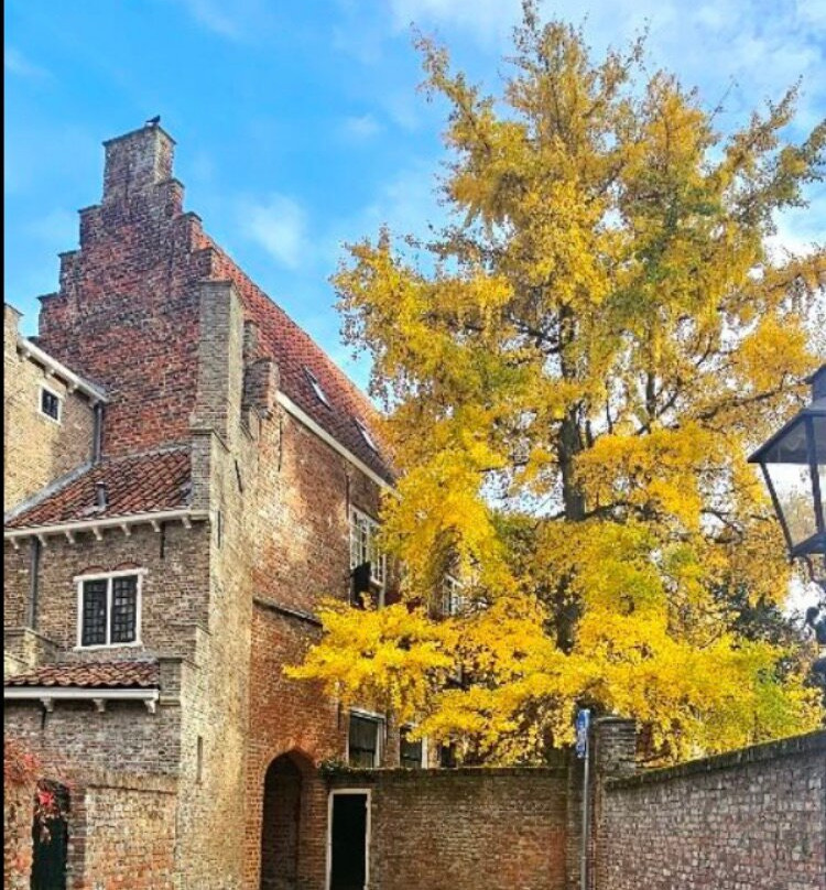 Rijksmonument Kuiperspoort Middelburg-Middelburg必去景点