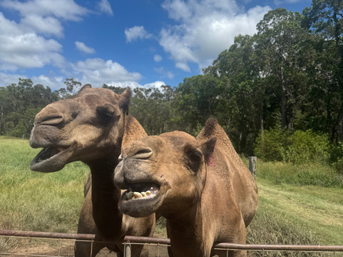 Splitters Farm-邦德堡必去景点