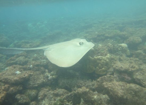 Azure Aura-乌库拉斯必去景点