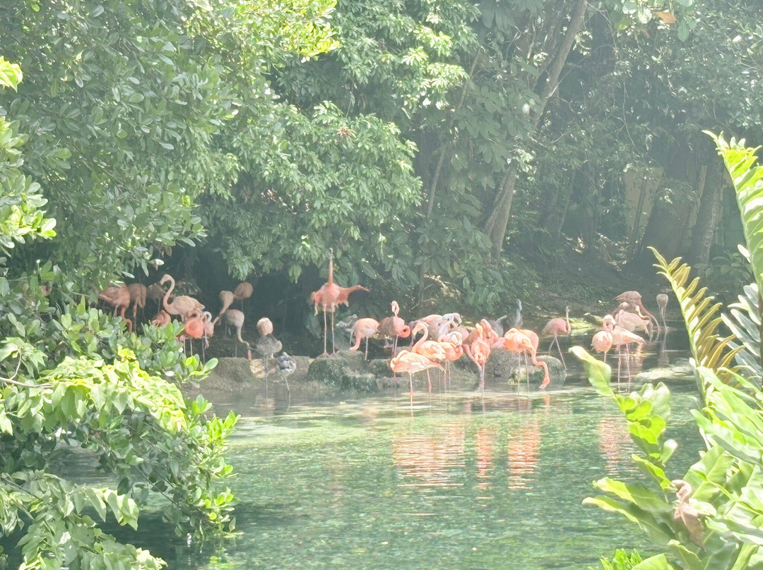 National Zoological Park-圣多明哥必去景点