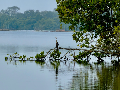 Suduhansa Tours (BoYo)-亚洪加拉必去景点