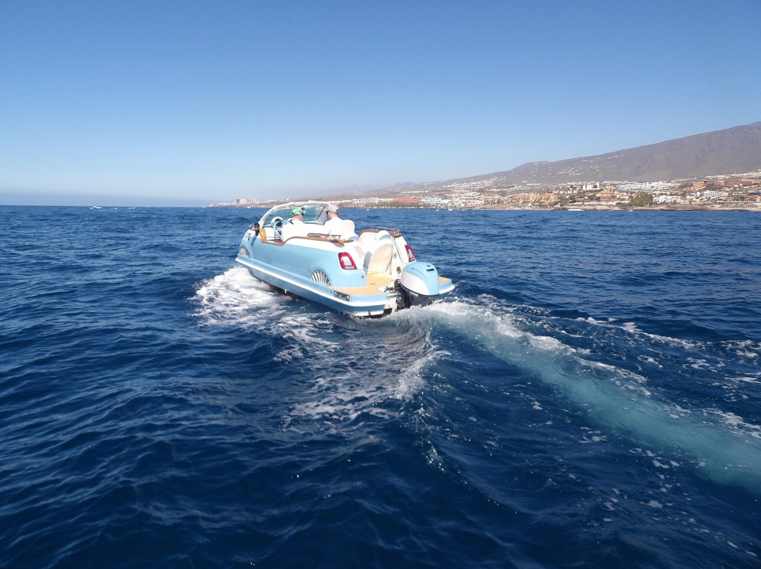 Tenerife First Excursions-奥德杰海岸必去景点