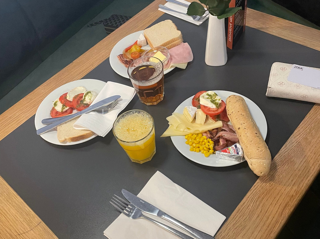 斯普利特酒店主图