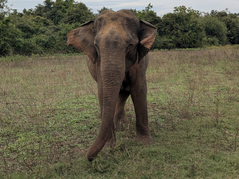 Tuktukdude Leisure-马塔拉必去景点